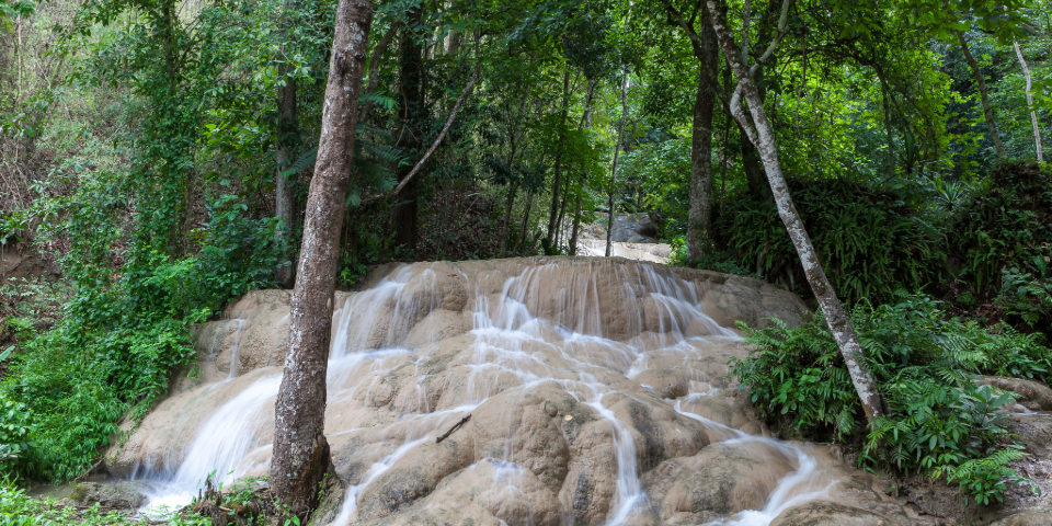 Chiang Dao (190 km)